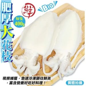 import placeholder for 1191