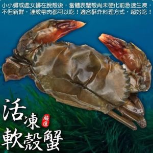 import placeholder for 1198