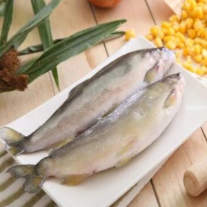 import placeholder for 1304