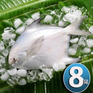 import placeholder for 1316