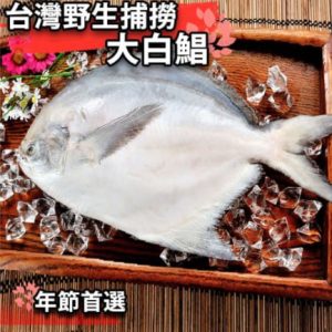 import placeholder for 1320