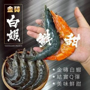 import placeholder for 1336